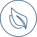 Protection de l'environnement et développement durable