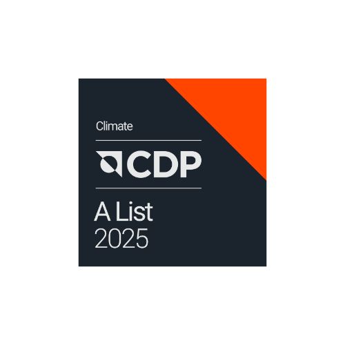 Logo CDP