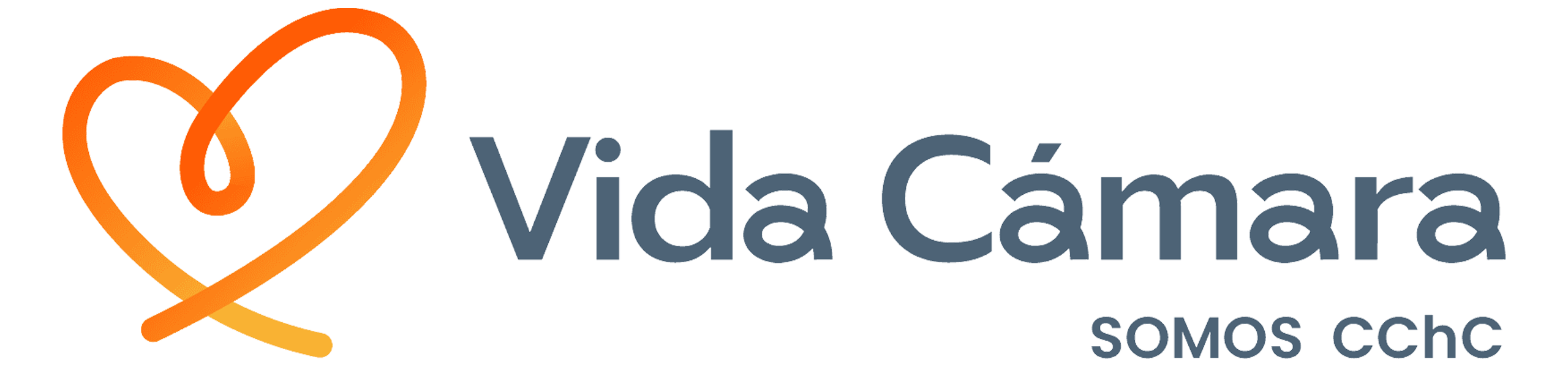 VidaCamera