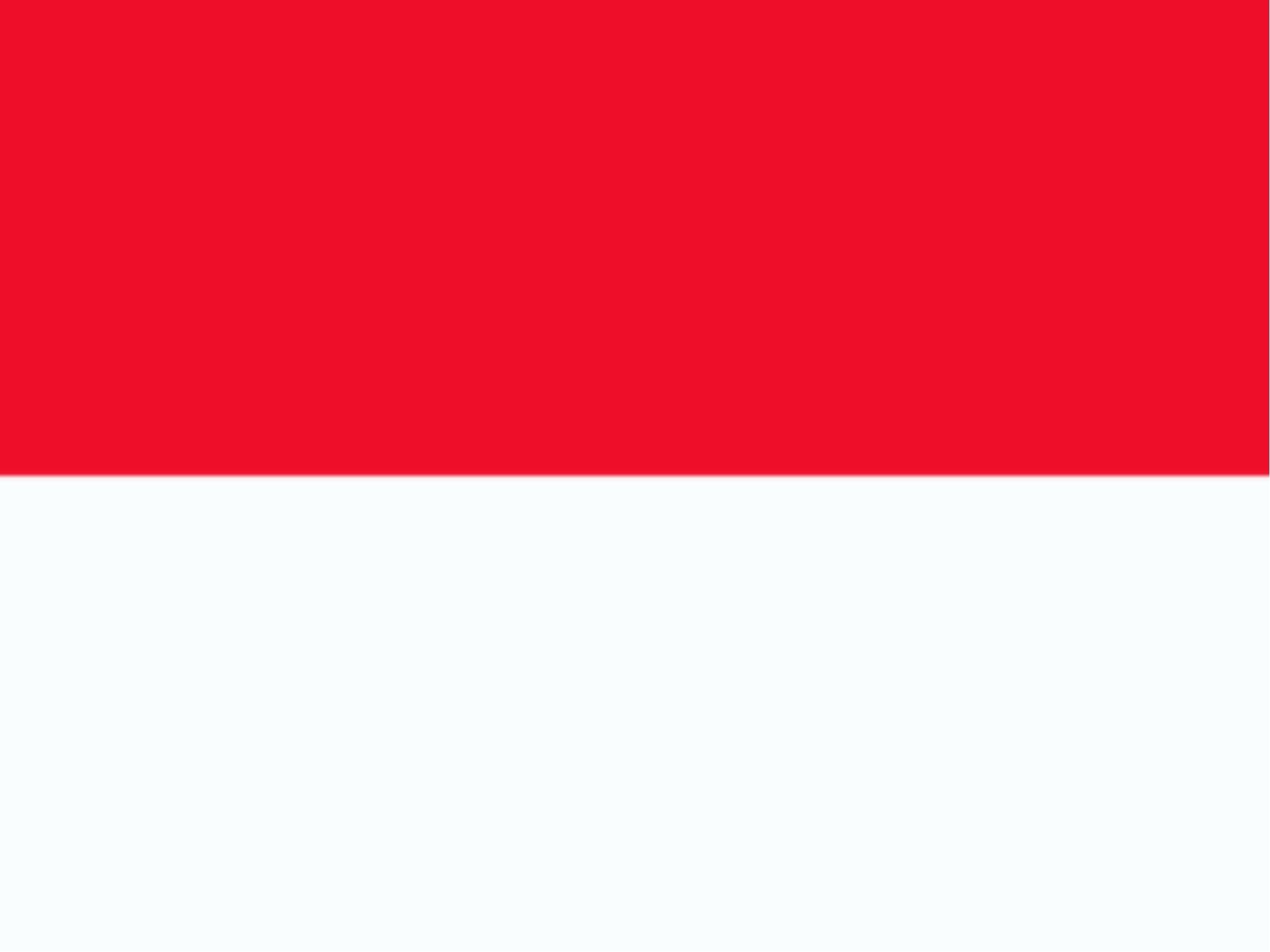 Drapeau Monaco